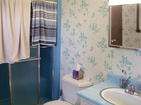 700 Fleck Ave, Celina, OH 45822 photo 15
