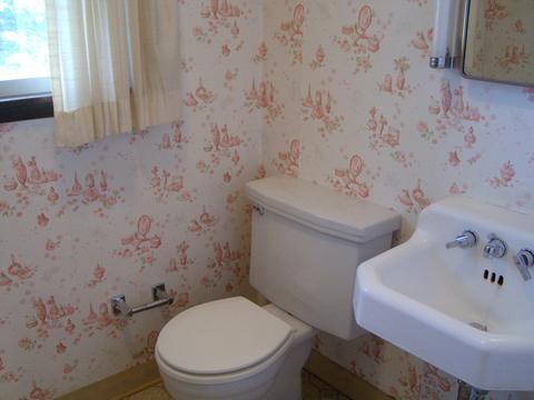 700 Fleck Ave, Celina, OH 45822 photo 19