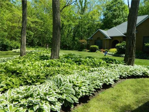 7515 Wrenview Dr, Springfield, OH 45502 photo 40