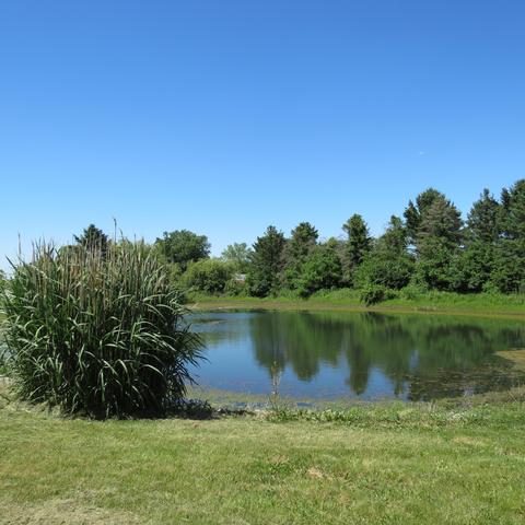 1580 Miami Conservancy, Sidney, OH 45365 photo 2