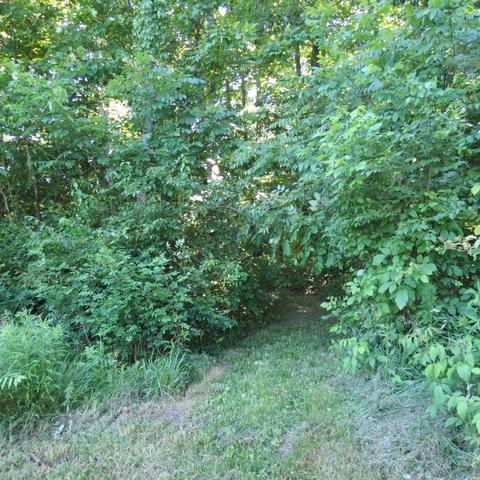 1580 Miami Conservancy, Sidney, OH 45365 photo 28