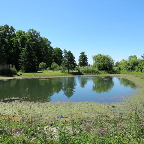 1580 Miami Conservancy, Sidney, OH 45365 photo 3