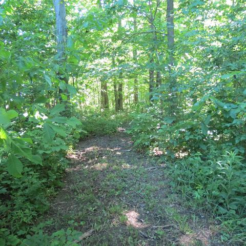 1580 Miami Conservancy, Sidney, OH 45365 photo 30