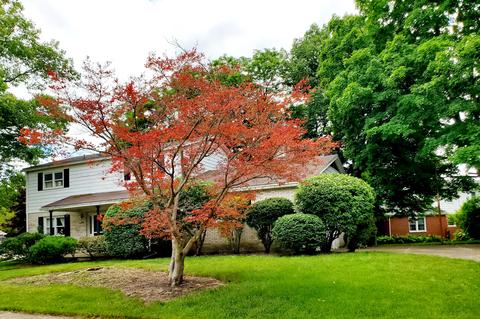 505 Zeller Dr, Springfield, OH 45503 photo 2