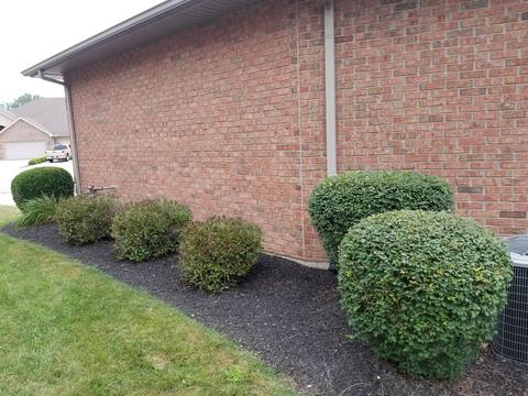 1203 Arthur Ct, Sidney, OH 45365 photo 48