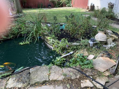 2349 E High St, Springfield, OH 45505 photo 7