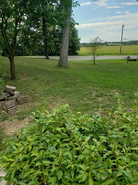 180 Titus Rd, Springfield, OH 45505 photo 25