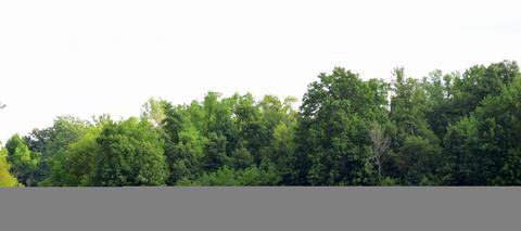 8447 Davis Rd, Celina, OH 45822 photo 30