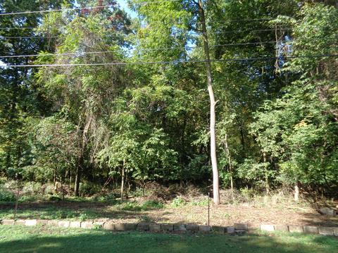 1711 Miracle Mile, Springfield, OH 45503 photo 31