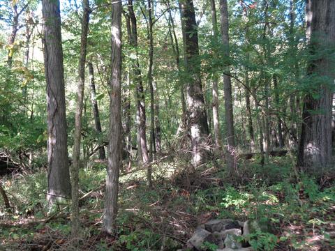 1711 Miracle Mile, Springfield, OH 45503 photo 32