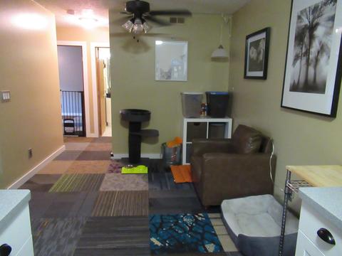 4030 Ryland Dr, Springfield, OH 45503 photo 5