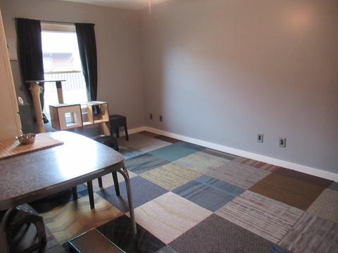 4030 Ryland Dr, Springfield, OH 45503 photo 12