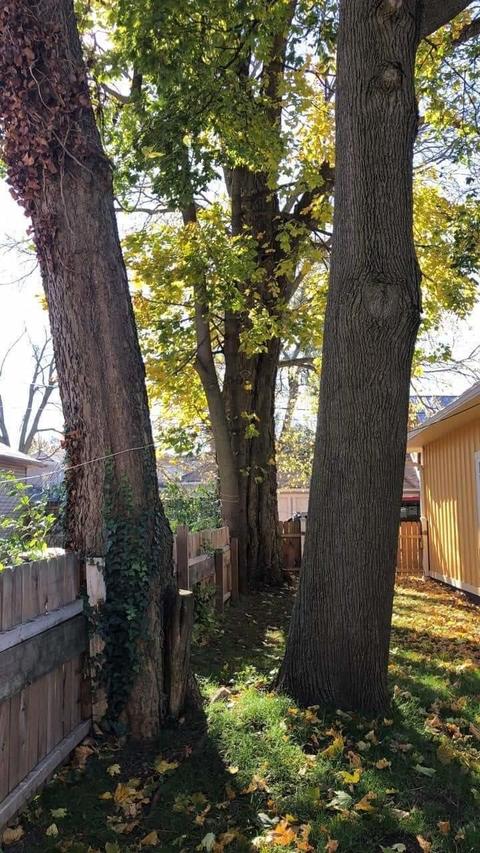 210 E Main St, Troy, OH 45373 photo 9