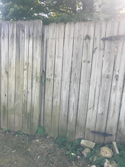 934 Pine St, Springfield, OH 45505 photo 48