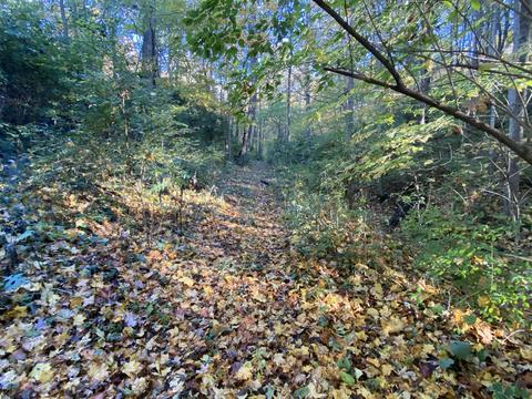 3348 Snyder Domer Rd, Springfield, OH 45502 photo 20