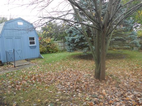 811 Allen Dr, Springfield, OH 45505 photo 38