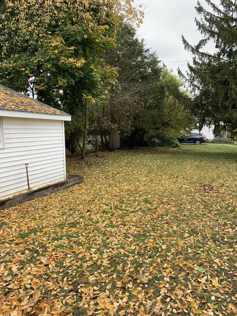 428 S Belmont Ave, Springfield, OH 45505 photo 24