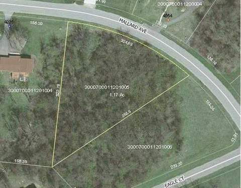 4045 Mallard Ave, Springfield, OH 45503 photo 1