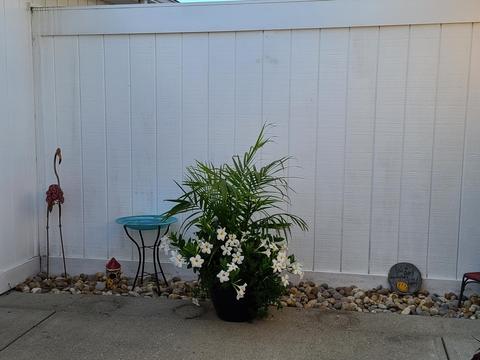 4426 E Ridgewood Rd, Springfield, OH 45503 photo 25