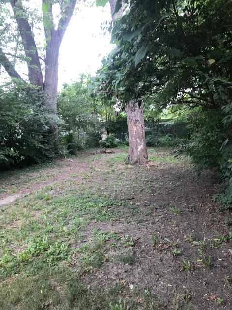 2022 Cleveland Ave, Springfield, OH 45503 photo 7