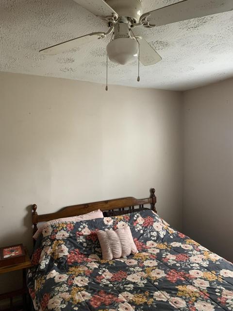 2135 Boda St, Springfield, OH 45503 photo 19