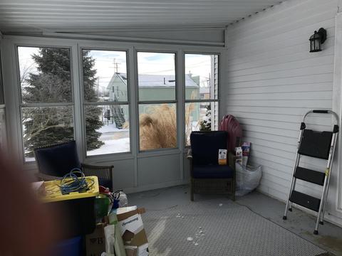 526 E Main St, Saint Paris, OH 43072 photo 30