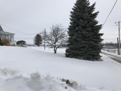 526 E Main St, Saint Paris, OH 43072 photo 7