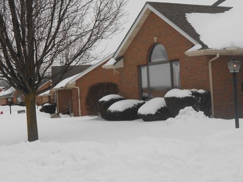 1732 Fox Ridge Dr, Springfield, OH 45503 photo 7