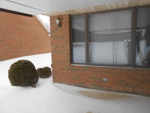 1732 Fox Ridge Dr, Springfield, OH 45503 photo 35
