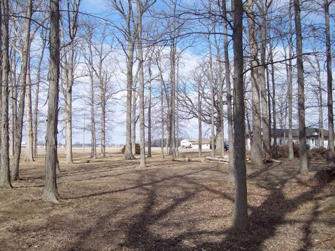 7716 Weitz Rd, Celina, OH 45822 photo 39