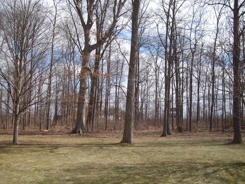 7716 Weitz Rd, Celina, OH 45822 photo 37