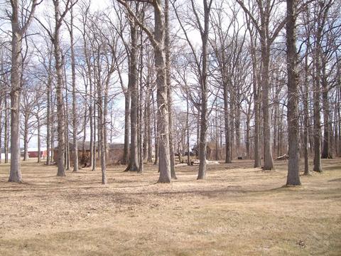 7716 Weitz Rd, Celina, OH 45822 photo 3