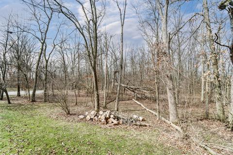 4210 Tree Line Ave, Springfield, OH 45502 photo 49