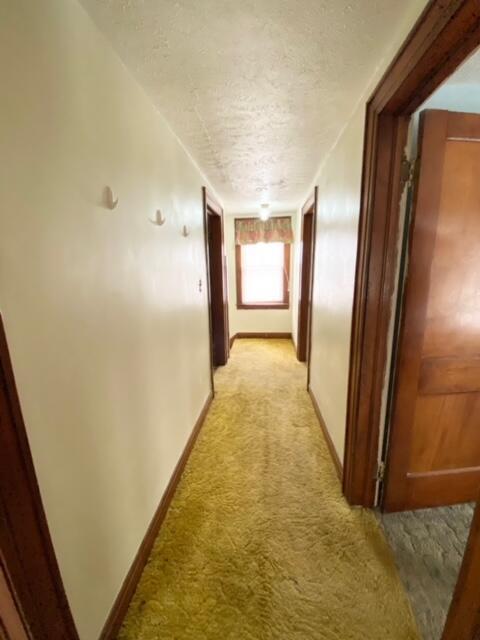 730 Rodgers Dr, Springfield, OH 45503 photo 8