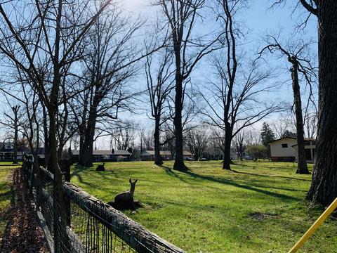 2551 Erter Dr, Springfield, OH 45503 photo 26