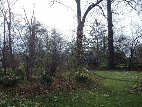 248 Bayview Dr, Celina, OH 45822 photo 4