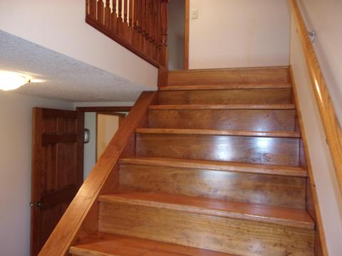 203 E South St, Botkins, OH 45306 photo 16