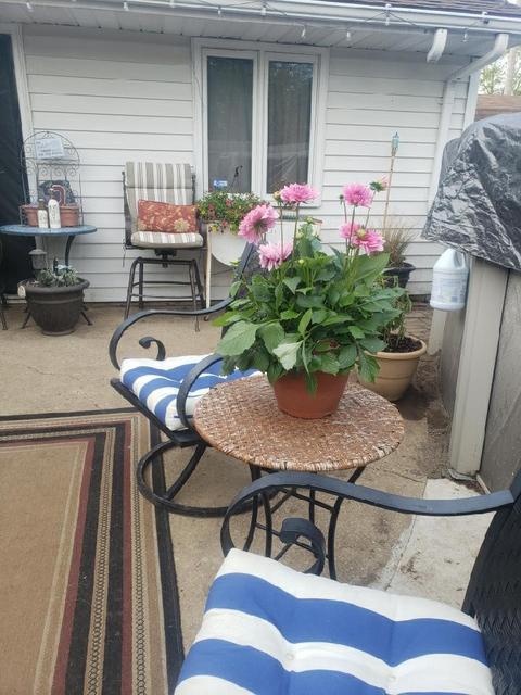 3154 Glouster St, Springfield, OH 45503 photo 18