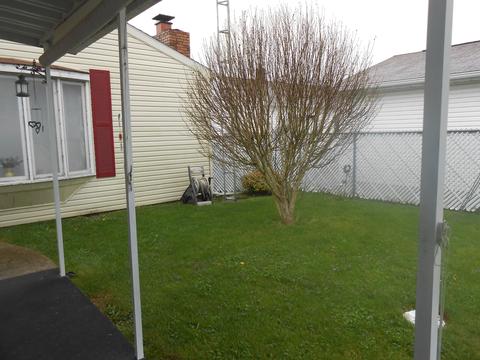 2703 Duncan St, Springfield, OH 45505 photo 37