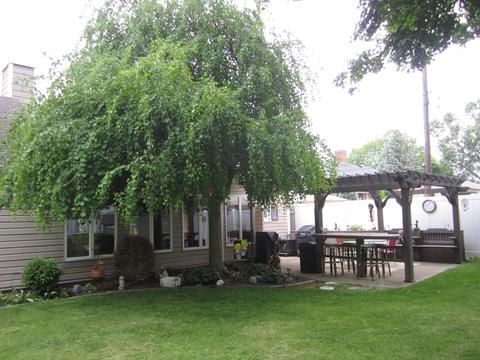 876 Foraker Ave, Sidney, OH 45365 photo 8