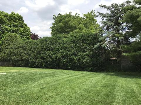 2021 Old Coach Rd, Springfield, OH 45505 photo 4