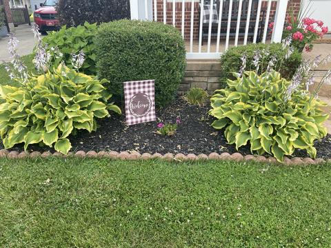 4810 Curtis Dr, Springfield, OH 45503 photo 7