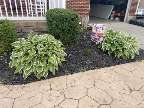 4810 Curtis Dr, Springfield, OH 45503 photo 6