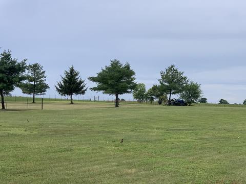 6455 Penny Pike, Springfield, OH 45502 photo 7