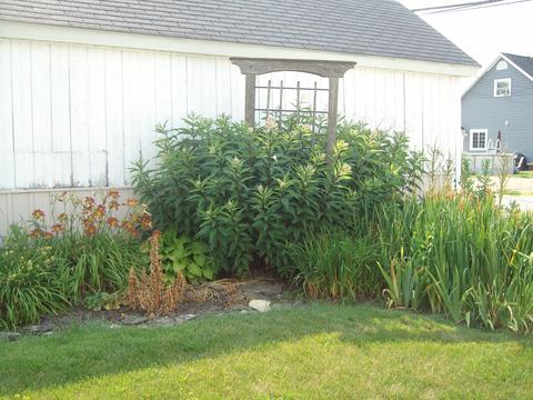 322 E Fulton St, Celina, OH 45822 photo 37