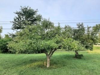 5490 Johnston Rd, Celina, OH 45822 photo 5