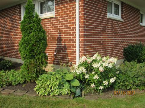4631 Laredo St, Springfield, OH 45503 photo 7