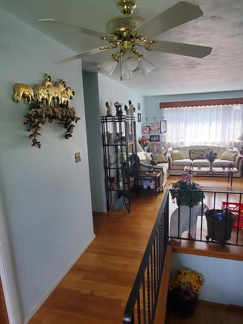 181 Shadla Rd, Springfield, OH 45505 photo 7