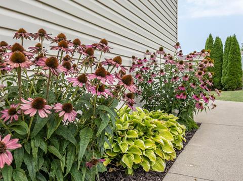3100 Windy Ridge Dr, Springfield, OH 45502 photo 18