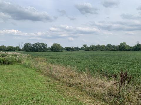 4754 Willowdale Rd, Springfield, OH 45502 photo 3